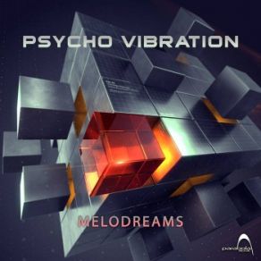 Download track Sol Psycho Vibration