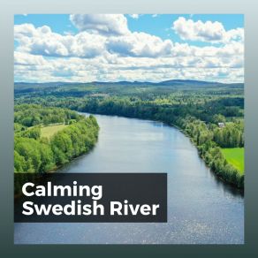Download track Fertility Of The River Valleys Nature Of Sweden