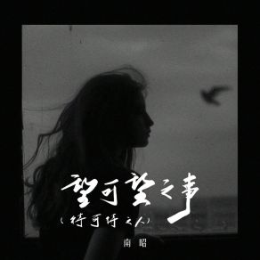 Download track 望可望之事 (待可待之人) (和声伴奏版) 南昭