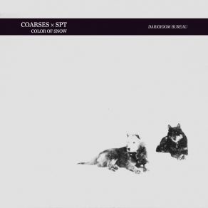 Download track Cape Ryugu (Coarses' One Of Two Gyres Rework) SptCoarses