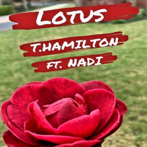 Download track Lotus Nadi