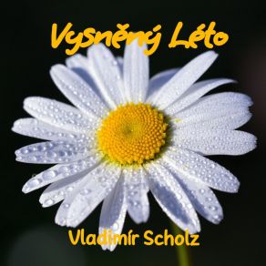 Download track Vysněný Léto (Live) Vladimír Scholz