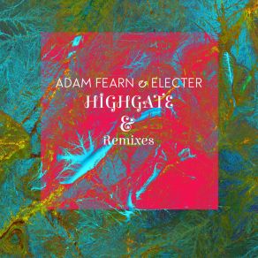 Download track Highgate (Strapontin Remix) Electer