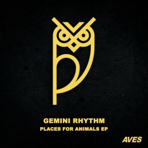 Download track Looking For A Place To Leave Gemini Rhythm