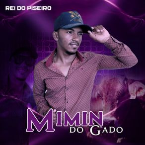 Download track Pra Vaquejada Vamos MIMIN DO GADO