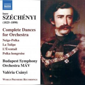 Download track Tänze Für Orchester, Vol. 6: No. 1, Pretchistinka-Polka MAV Symphony Orchestra, Valeria Csanyi