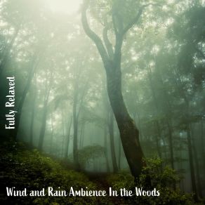 Download track Wind And Rain Ambience In The Woods, Pt. 8 Steve Brassel