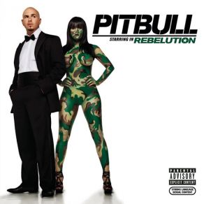 Download track Across The World (B. O. B) Pitbull