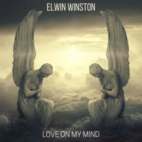 Download track I Won't Be Missing You Elwin Winston