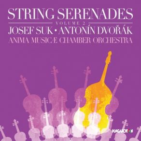 Download track Serenade In E Major, Op. 22, B. 52: V. Finale. Allegro Vivace Anima Musicae Chamber Orchestra