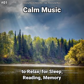 Download track Relaxing Music Part 11 Relaxing Spa Music