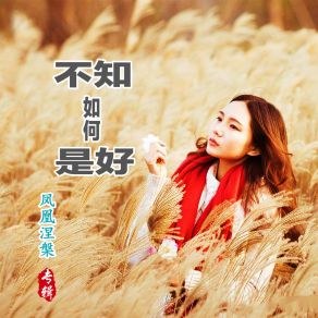 Download track 不知如何是好 凤凰涅槃