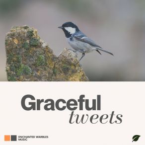 Download track Graceful Birds Sounds Of The Forest