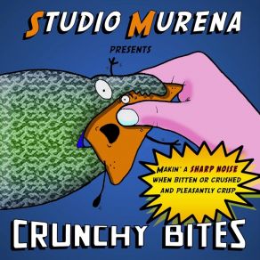 Download track Moscardino (Greetings From Cosmos!) Studio Murena