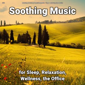 Download track Calm Sleep Relaxing Spa Music