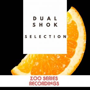 Download track Housemarter Dual Shok