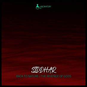 Download track The Revenge Of Gods Siddhar