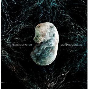 Download track Immanence Mind Necrosis Factor