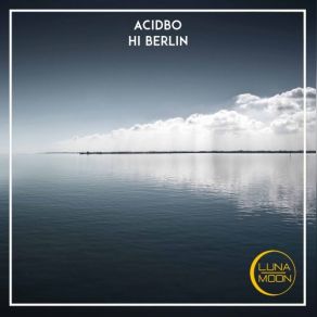 Download track Hi Berlin Acidbo