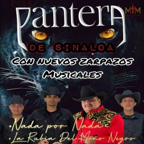 Download track Nada Por Nada Los Pantera De Sinaloa