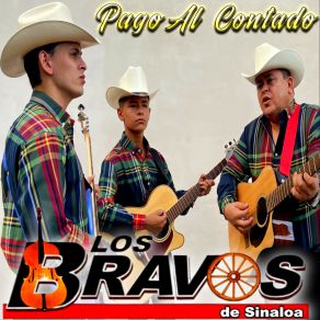 Download track La Chayo Los Bravos De Sinaloa