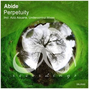 Download track Perpetuity (Original Mix) Abide