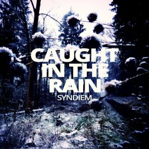 Download track Caught In The Rain (Livistona Remix) Syndiem