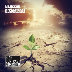 Download track Mandragora (Original Mix) Manggon