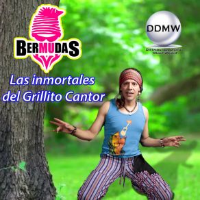 Download track La Patita The Bermudas