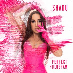 Download track Perfect Hologram Shadu