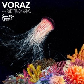 Download track Radial Voraz