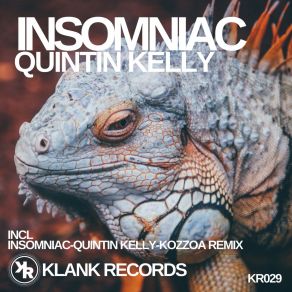 Download track Insomniac Kozzoa Remix Quintin Kelly