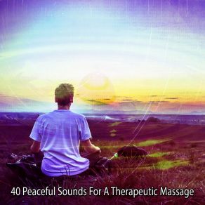 Download track Therapeutic Peace Meditation Awareness