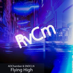 Download track Flying High (Radio Edit) SNDCLN