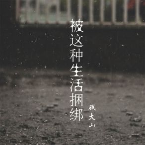 Download track 被这种生活捆绑 钱大山