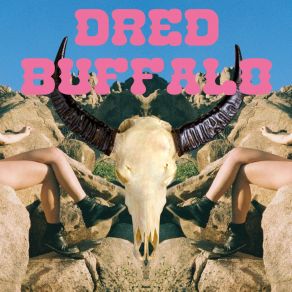 Download track 3 AM Dred Buffalo