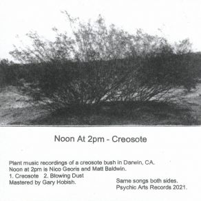 Download track Creosote Noon At 2pm