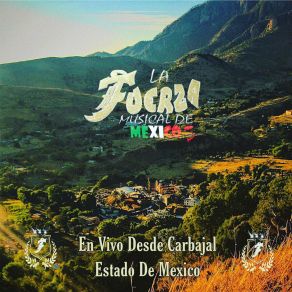 Download track Flor De Limón La Fuerza Musical De México