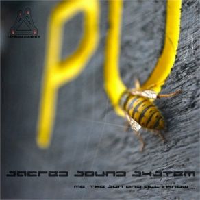 Download track Eye Sacred Sound System