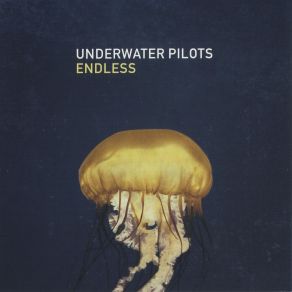 Download track Your Soul Underwater Pilots