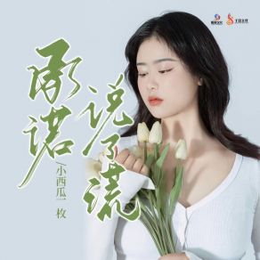 Download track 承诺说了谎 (伴奏) 小西瓜一枚