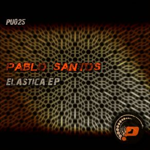 Download track Elastica (Original Mix) Pablo Santos