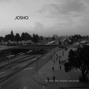 Download track Hagamos Tintico Josho