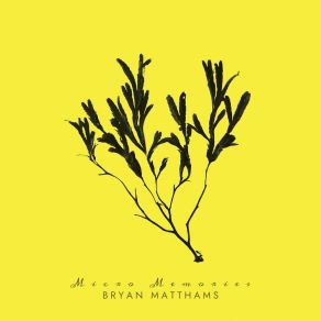 Download track Interconnection Bryan Matthams