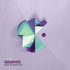 Download track Nice To Meet You The Geminis