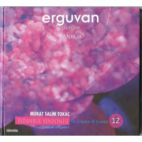 Download track Sultanîyegâh Taksim Murat Salim Tokaç