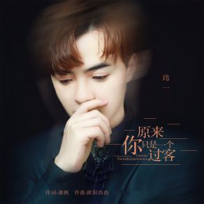 Download track 原来你只是一个过客 (伴奏) 玮一