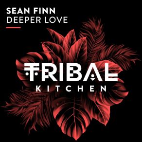 Download track Deeper Love (Extended Mix) Sean Finn