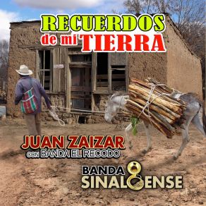 Download track Dos Palomas Al Volar Banda El Recodo, Banda Sinaloense
