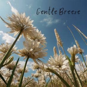 Download track Gentle Breeze Milla